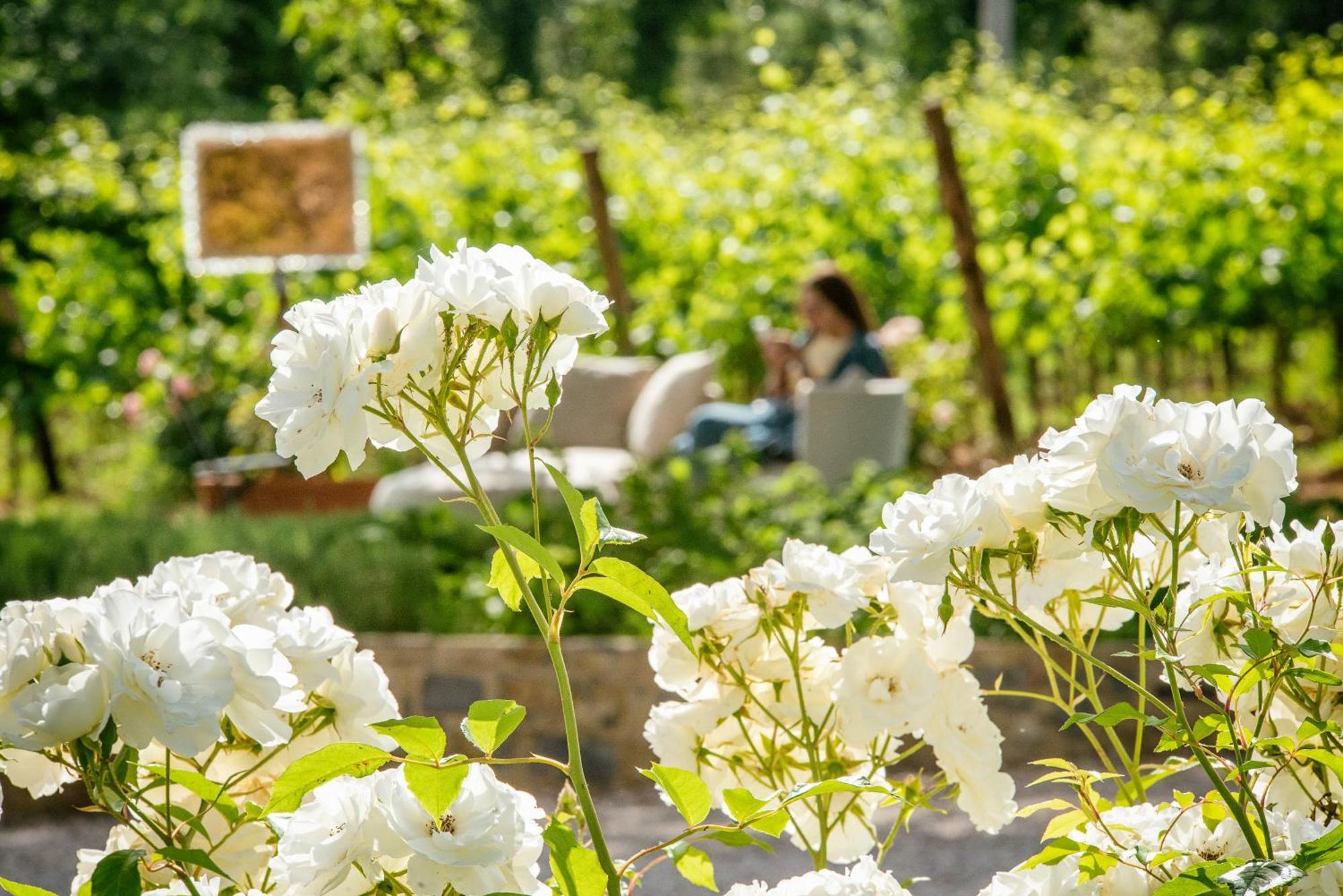 Resort Le Prata - Residenza Del Vescovo - Adults Only Montalcino