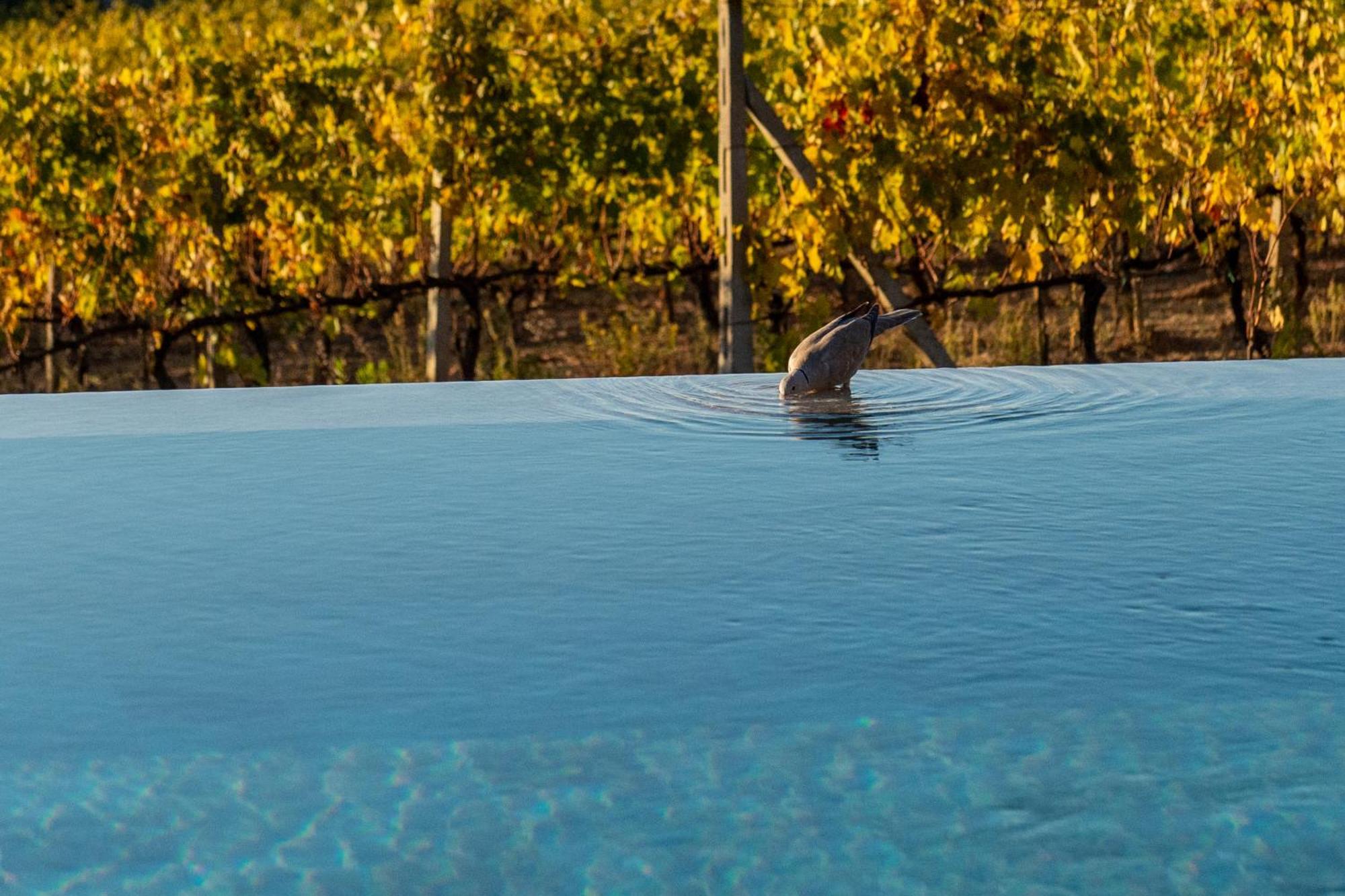 Le Prata - Residenza Del Vescovo - Adults Only 5* Montalcino